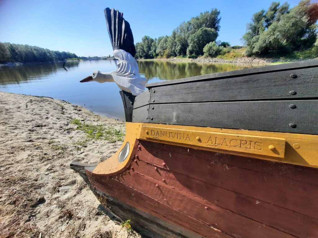 Die Danuvina alacris liegt verwaist am Ufer der Drau bei Osijek. (Bild: FAU/Boris Dreyer)