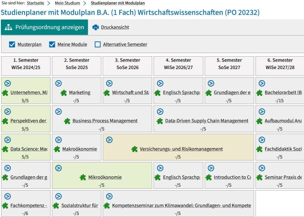 Screenshot from campo showing an example of a module plan.