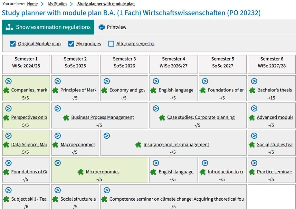 Screenshot from campo showing an example of a module plan.